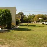 Angelos Kos